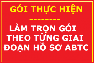 Gói dịch vụ 1: Hướng dẫn + tiếp nhận hồ sơ và thực hiện thành công, bàn giao lại phiếu hẹn kết quả cho KH